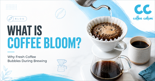 What Is Coffee Bloom? Why Fresh Coffee Bubbles During Brewing