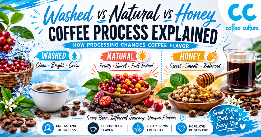 Washed vs Natural vs Honey Process Coffee – How Processing Changes Coffee Flavor