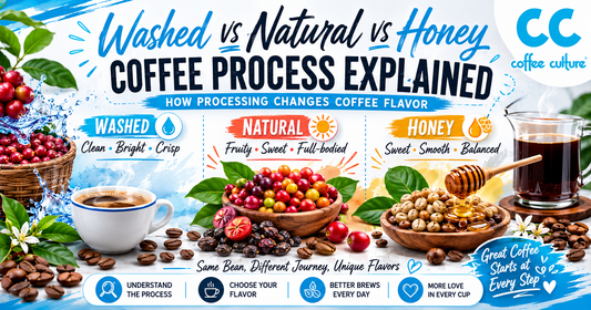 Washed vs Natural vs Honey Process Coffee – How Processing Changes Coffee Flavor
